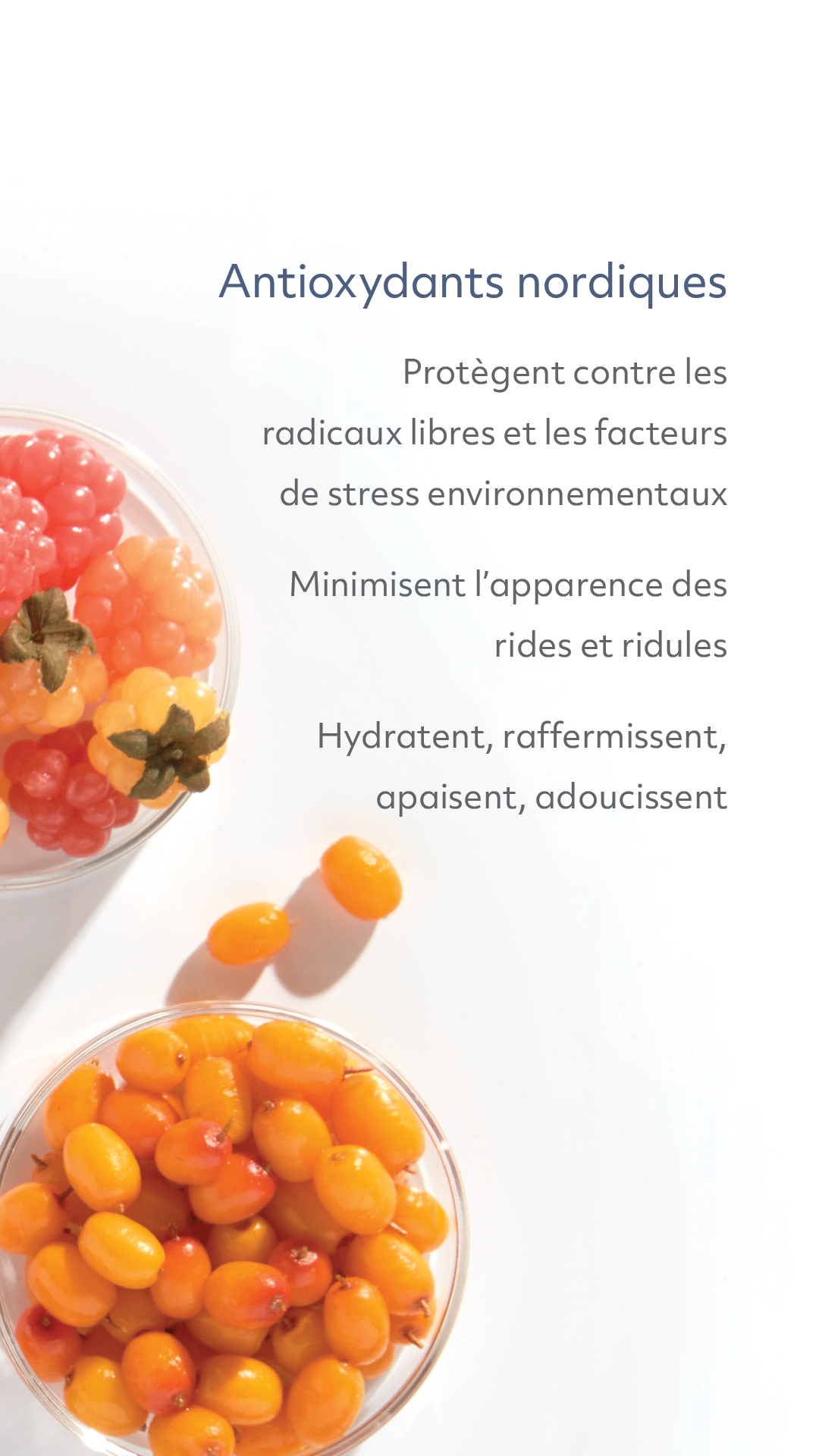 day one message nine