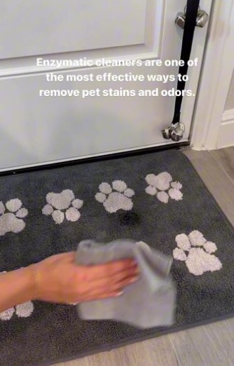 document thumbnail