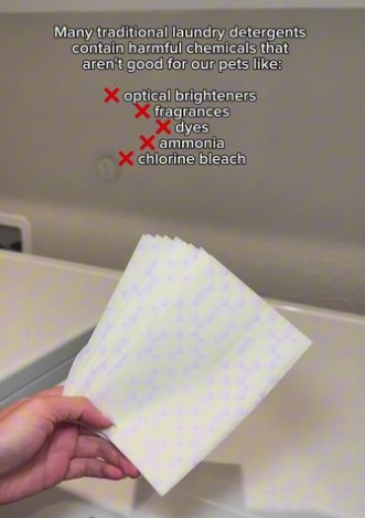 document thumbnail