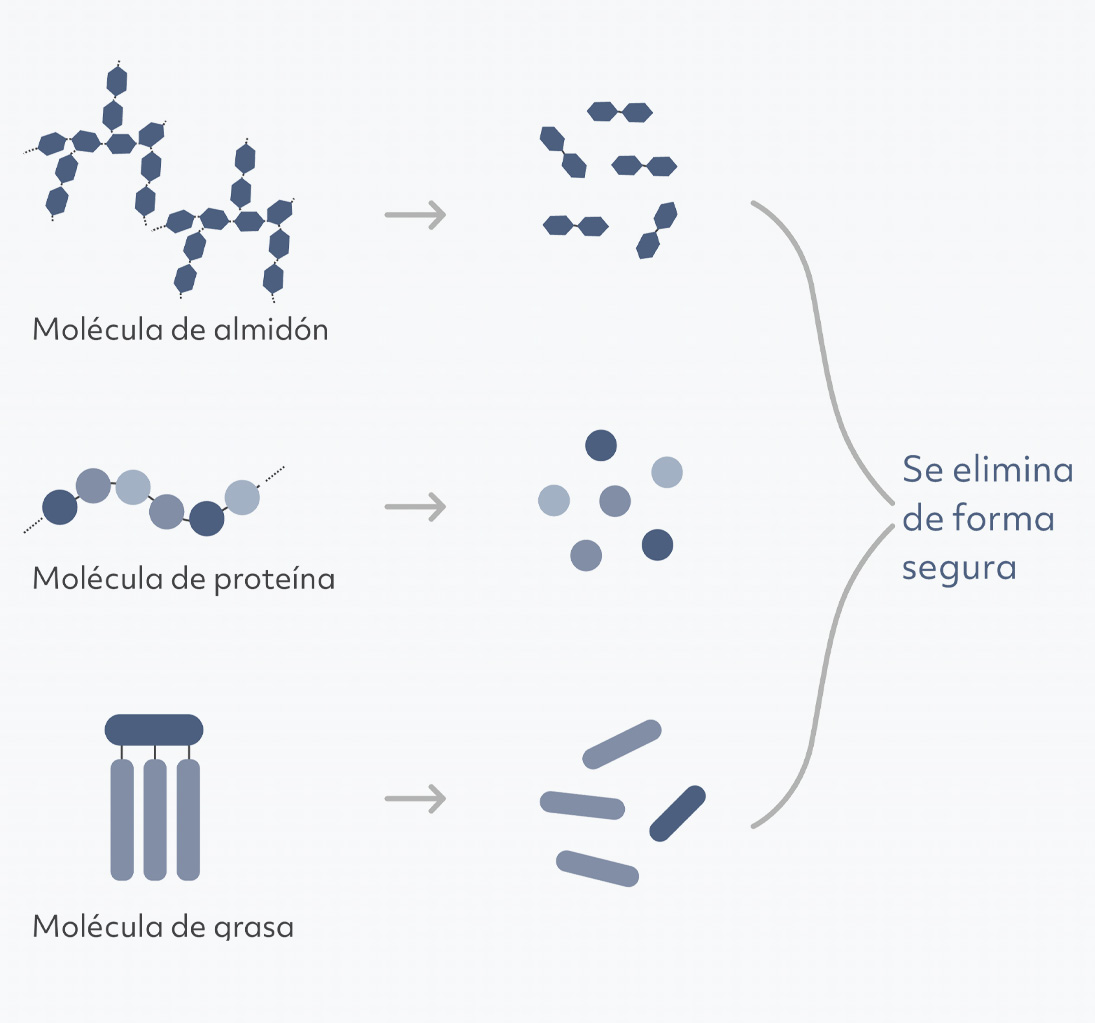 enzymes product science
