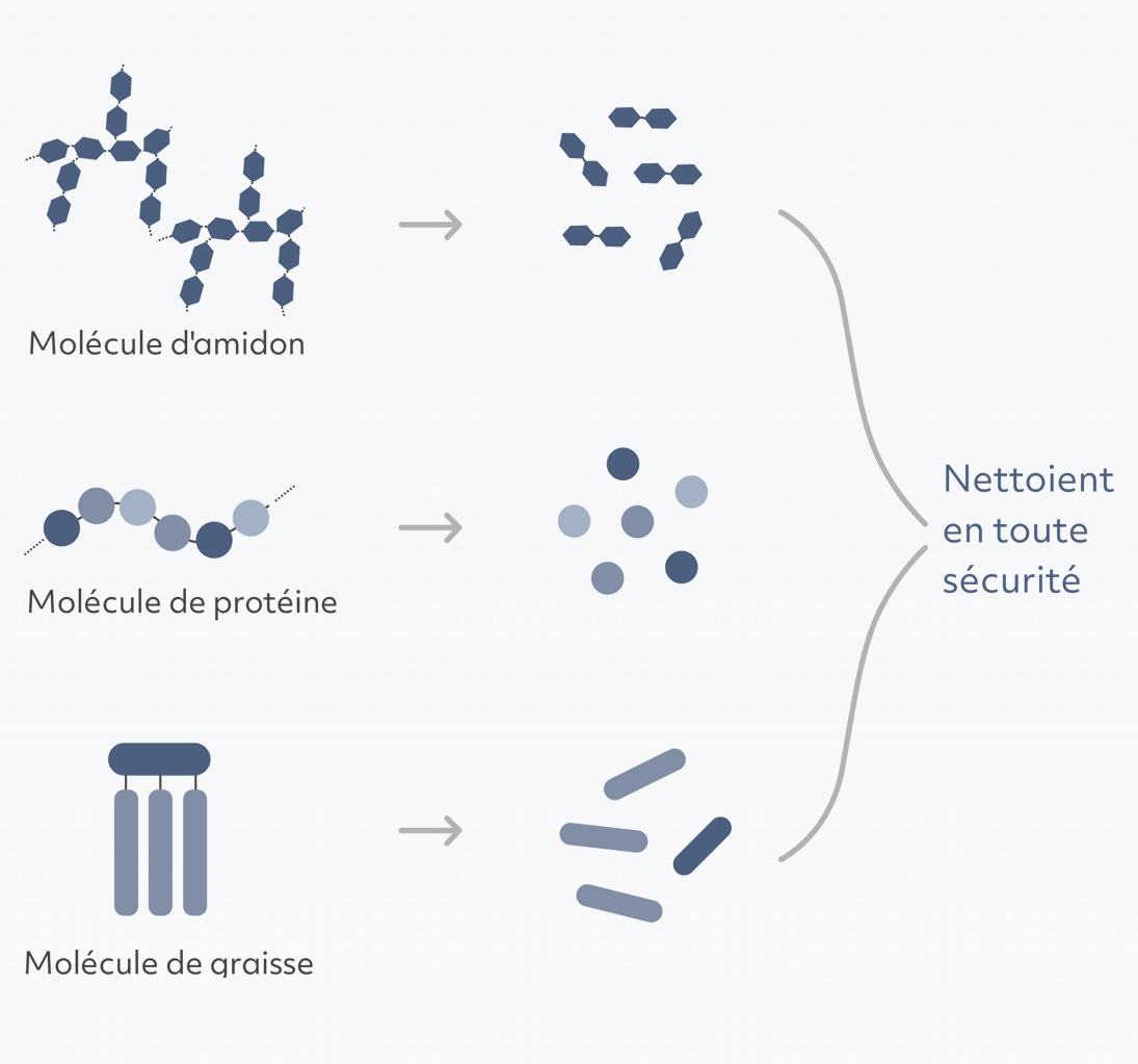 enzymes product science