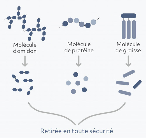 enzymes product science